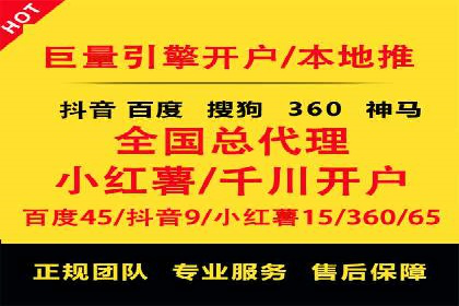 竞价广告的投放策略与效果评估——以一成功企业为例
